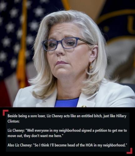 Liz Cheney triggered 500px