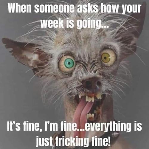 FB_IMG_1661881216904