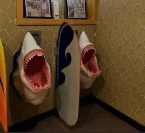 14:37:51 GMT-0400 (EDT)