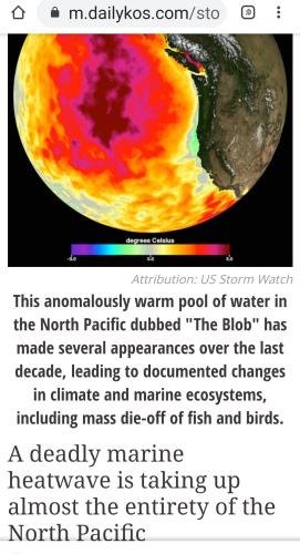 Screenshot_2022-08-29-12-47-11-905_com.android.chrome~2