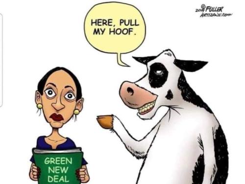 FB_IMG_1661216469474