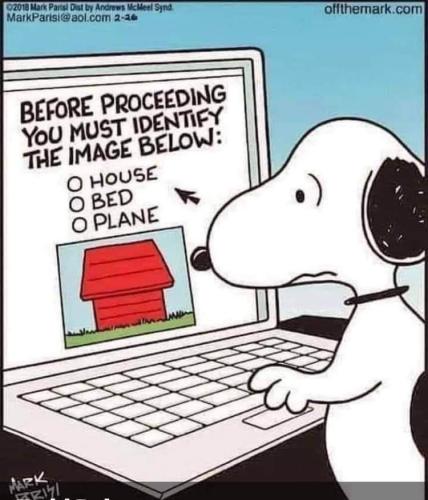 FB_IMG_1660660178272