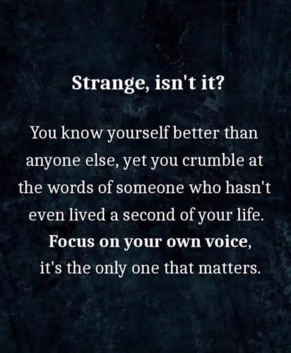 FB_IMG_1660392328394