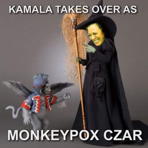 FB_IMG_1661191536443