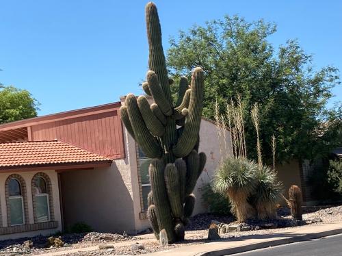 40B3EAB6-1482-419B-9C47-948FC7A51F61