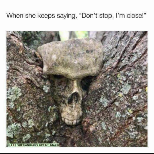 Screenshot_20220812-203816~2