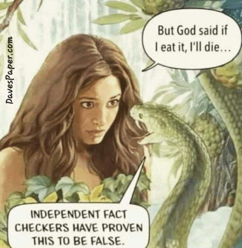 FB_IMG_1660592221105