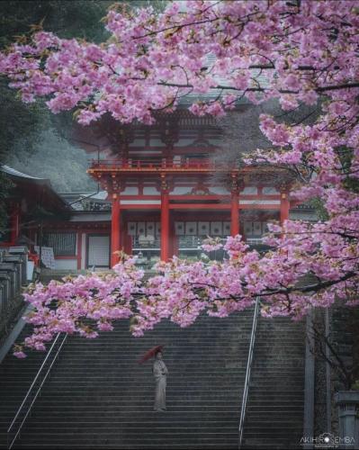 298565294_151421427495590_374650375836444420_n