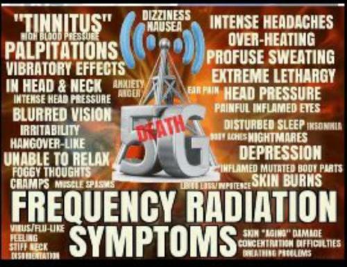 Screenshot_2022-08-06-10-24-32-890_com.mobisystems.fileman~2