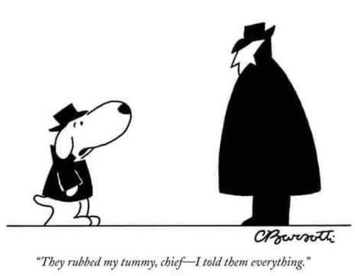 298203754_10159741826566049_8077919799062077036_n