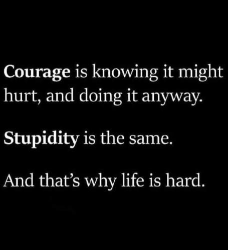 FB_IMG_1661869998127