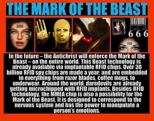 Mark Beast 1