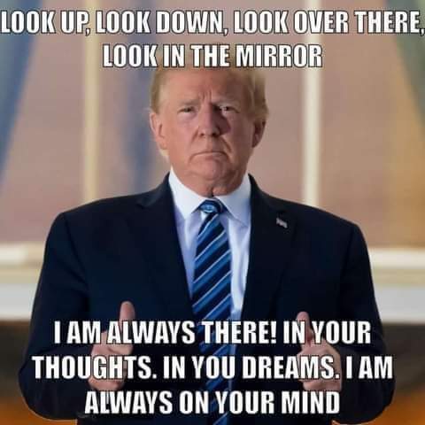 FB_IMG_1650479771436