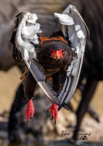 tumblr_f35807cb793757e9284bfbd9b3c1541f_5db493b5_540