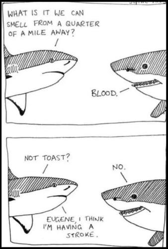 298027249_10159127405894865_5709253529772337144_n