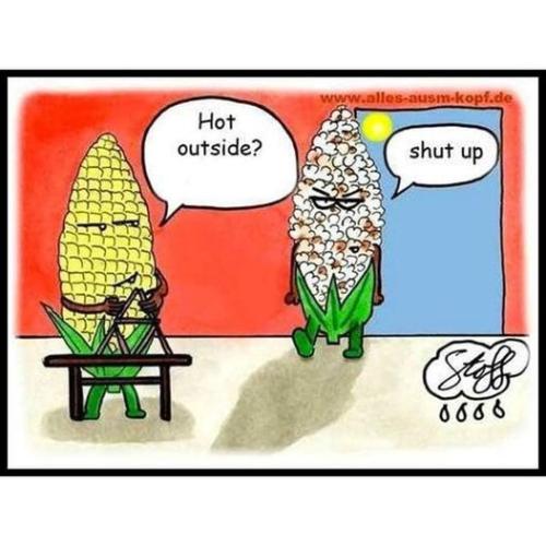 296748608_5497261186983511_6226865388992718934_n