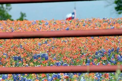 lzUGYUQTT_i5uHPS9bzh6Q