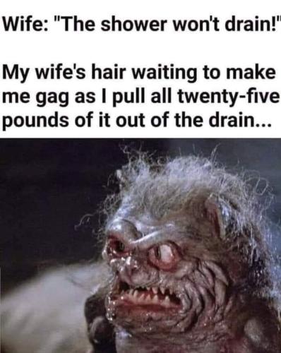 FB_IMG_1662748525440
