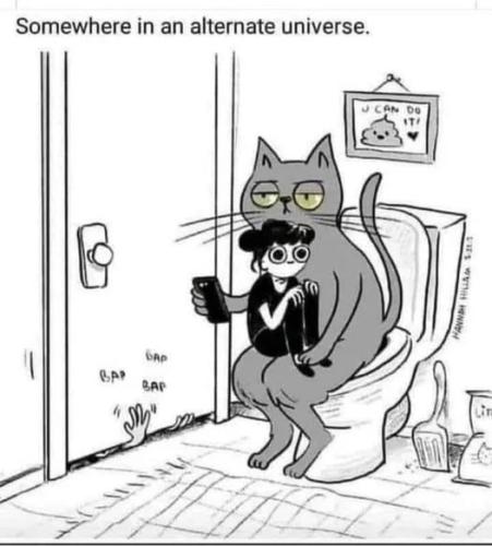 tumblr_105e5ef9836afe70849e426dacc3993e_a7dd42f2_540