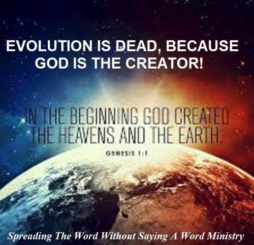 12033054_943645425717589_4255048334366446193_n