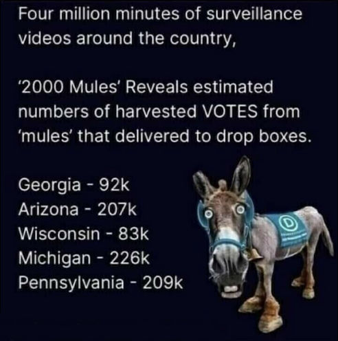 2000 mules24