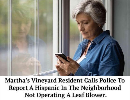 illegal immigration287