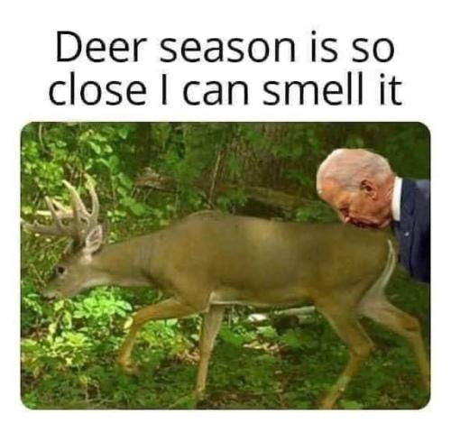 FB_IMG_1662041707779