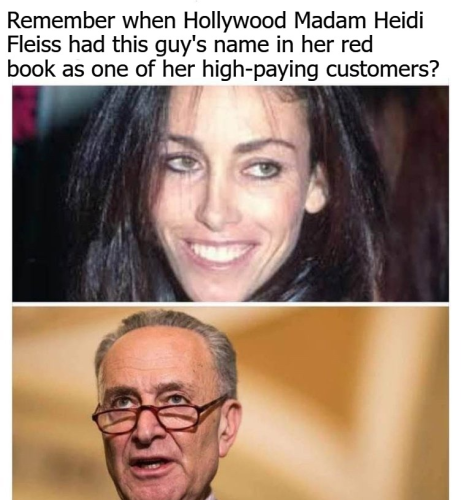 Remember Heidi Fleiss