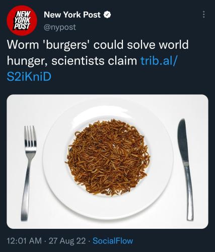 Bugs 1