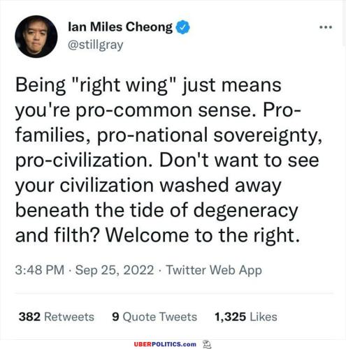 i-am-right-wing