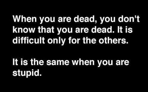 1234753_10200569592514491_1975522359_n