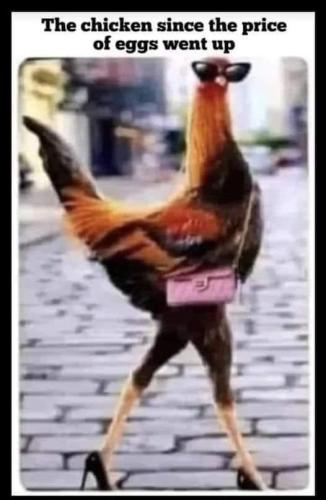 23:19:45 GMT-0400 (EDT)