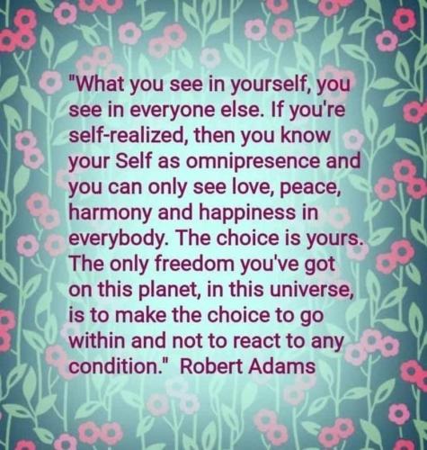 ,                                                                                                                                                                                                                          0 e