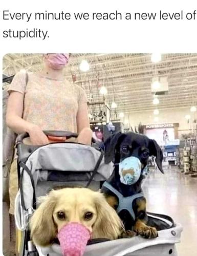 FB_IMG_1663205470417