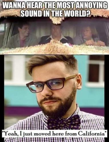 FB_IMG_1662473241997