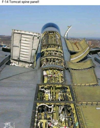 309178526_1791716634509837_245991751024501355_n