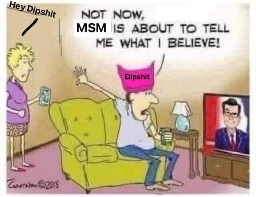 MSM 1