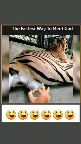 FB_IMG_1662663739678
