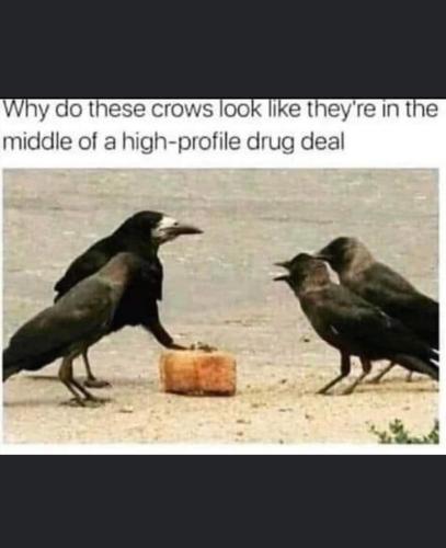 FB_IMG_1663856106020