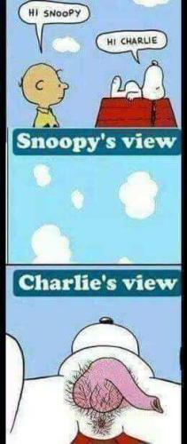 94d53d12-44d5-41a2-aa87-4063f2386427