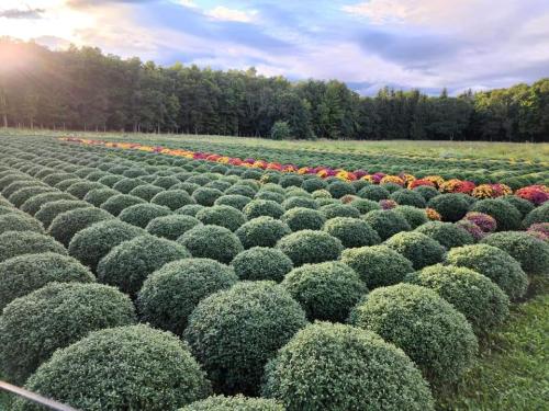 09:24:32 GMT+0100 (WAT)