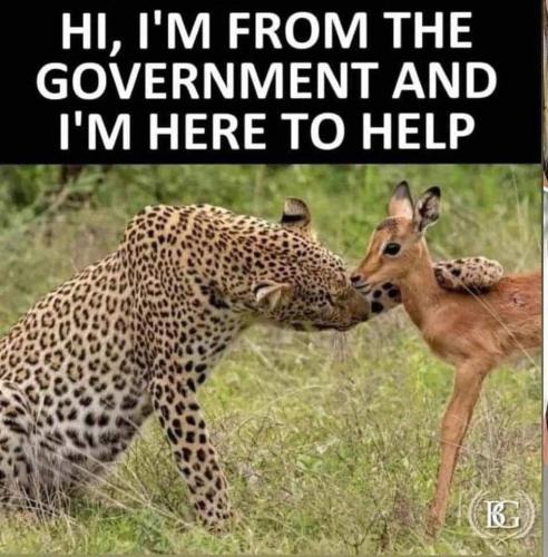 That's democracy 🙄