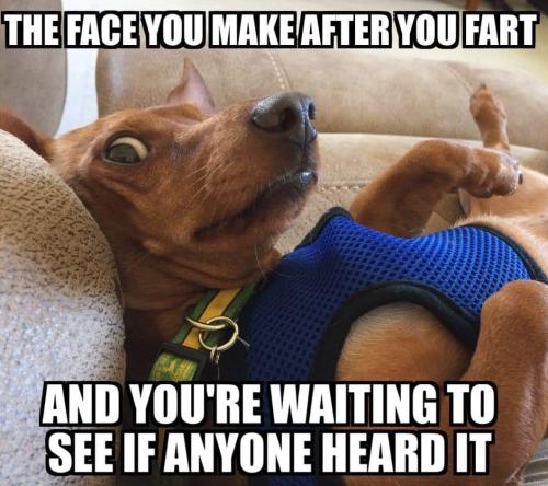 FB_IMG_1662061614260
