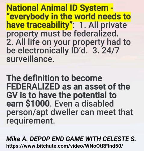 Screenshot_2022-09-01-12-51-58-250_cn.wps.moffice_eng