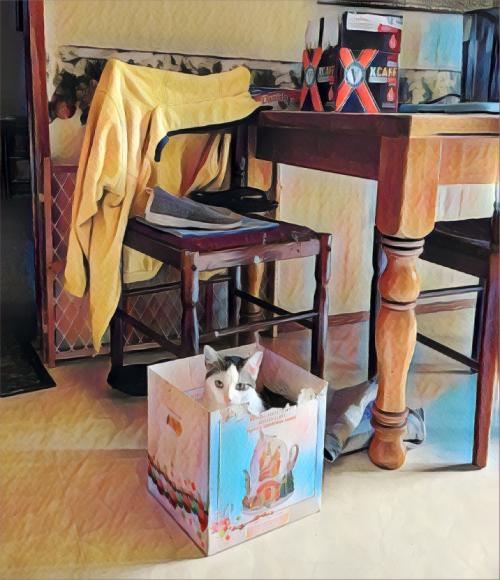 IMG_20220106_142050324