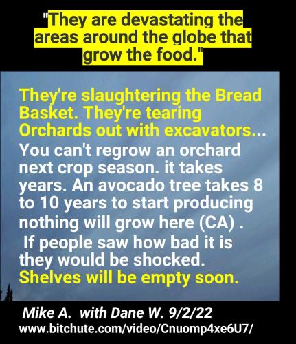 Screenshot_2022-09-02-21-59-33-519_cn.wps.moffice_eng