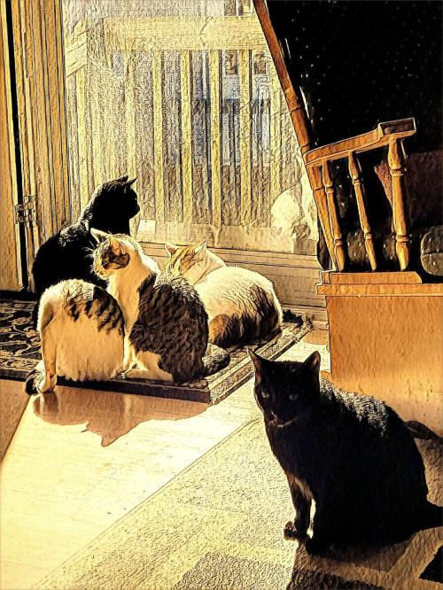 IMG_20220106_134045086