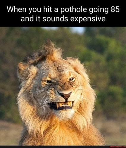 FB_IMG_1662151799840