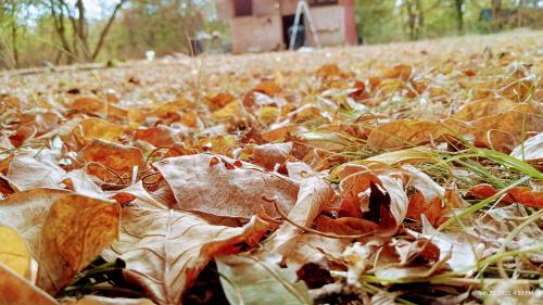 IMG_20220922_165229116_HDR