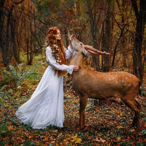 tumblr_240470e78dbc532c26cfd8c42879c5f4_ffdcc93b_540